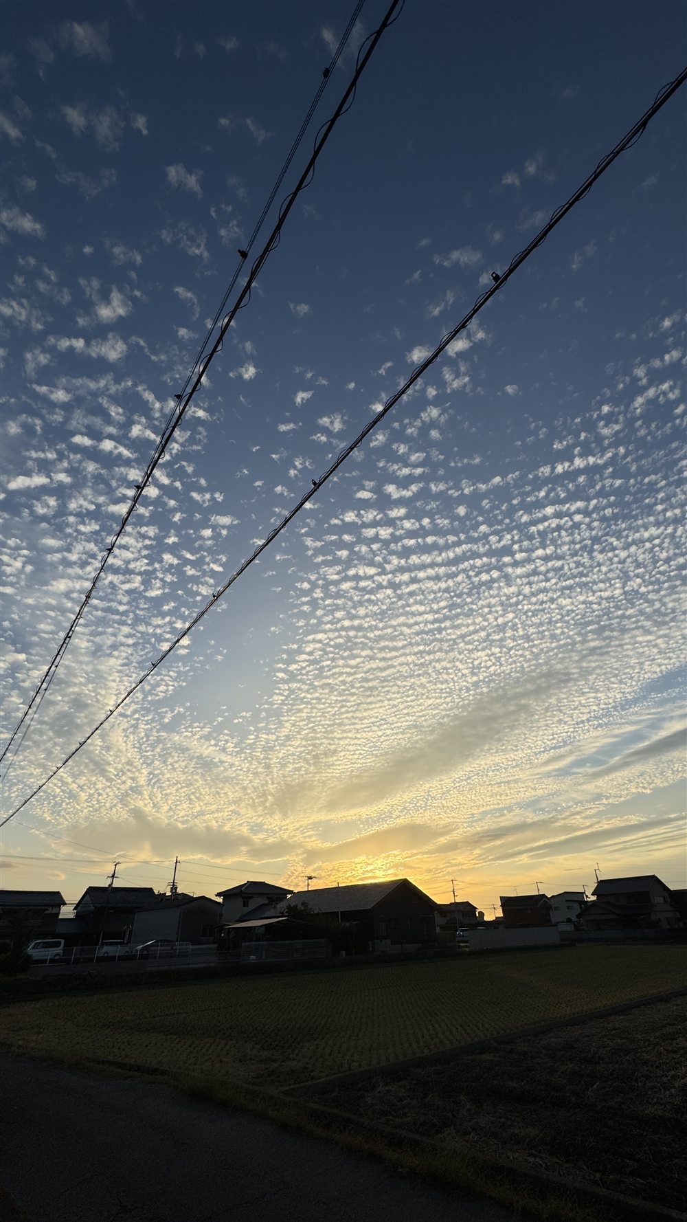 うろこ雲の秋の夕焼け