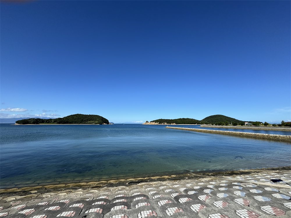 松林ごしに見える夏の瀬戸内海